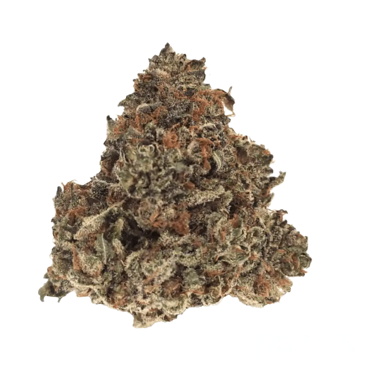 Nimbus easy 20/1 Gelato